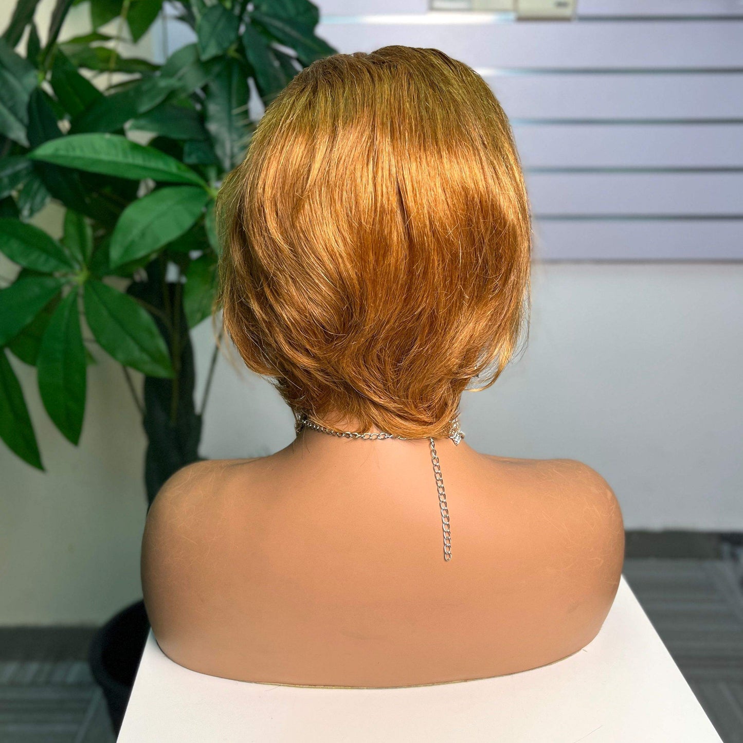 100% Human Hair Straight Wig 13x4 Frontal Short Pixie Wig Straight Hair