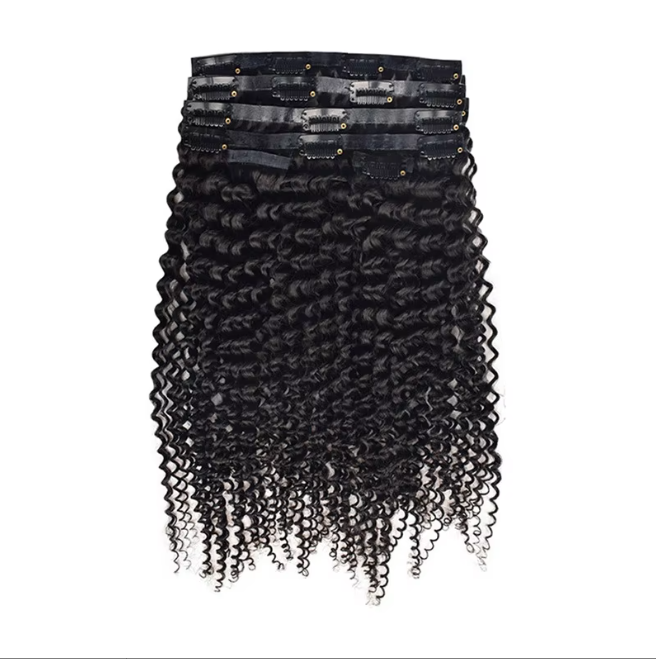 Burmese Curly Seamless Clip Ins 100% Human Hair Raw Pu Clip in Full and Thick Natural Invisible Seamless Clip in Hair Extension