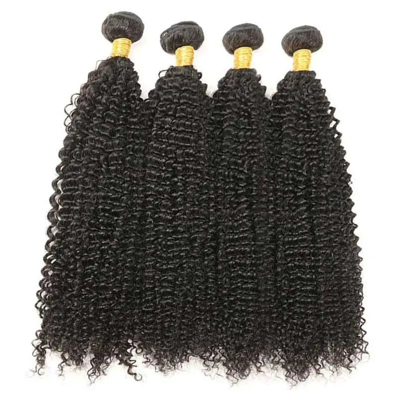 10A Grade 4 Bundles Kinky Curly Natural Black Brazilian Virgin Hair