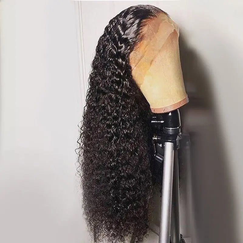 360 Lace Frontal Wig Kinky Curly Virgin Hair Natural Black Pre-Plucked