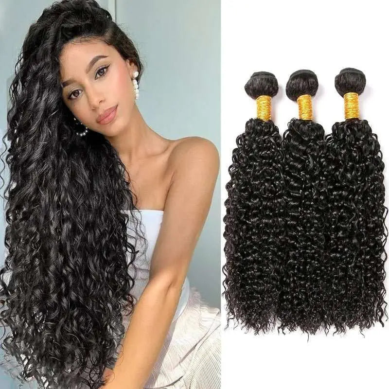 Natural Black 3 Bundles Kinky Curly Brazilian Virgin Hair With 4*4 Lace Closure