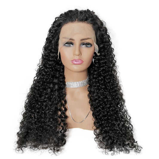 Premium HD Lace Jerry Curly 13x4 HD Lace Front Wigs Curly Human Hair Wigs With Pre Plucked Hairline|True length