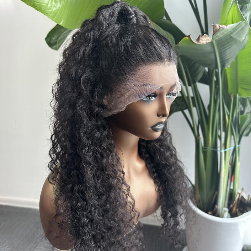 Water Wave 360 Lace Wigs Transparent Lace Human Hair Wigs Pre Plucked